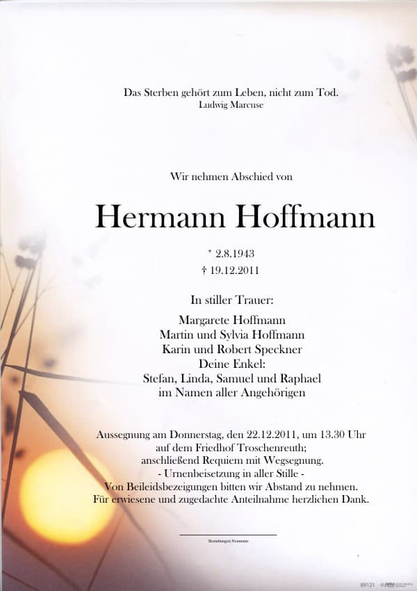 Herr Hermann Hoffmann
