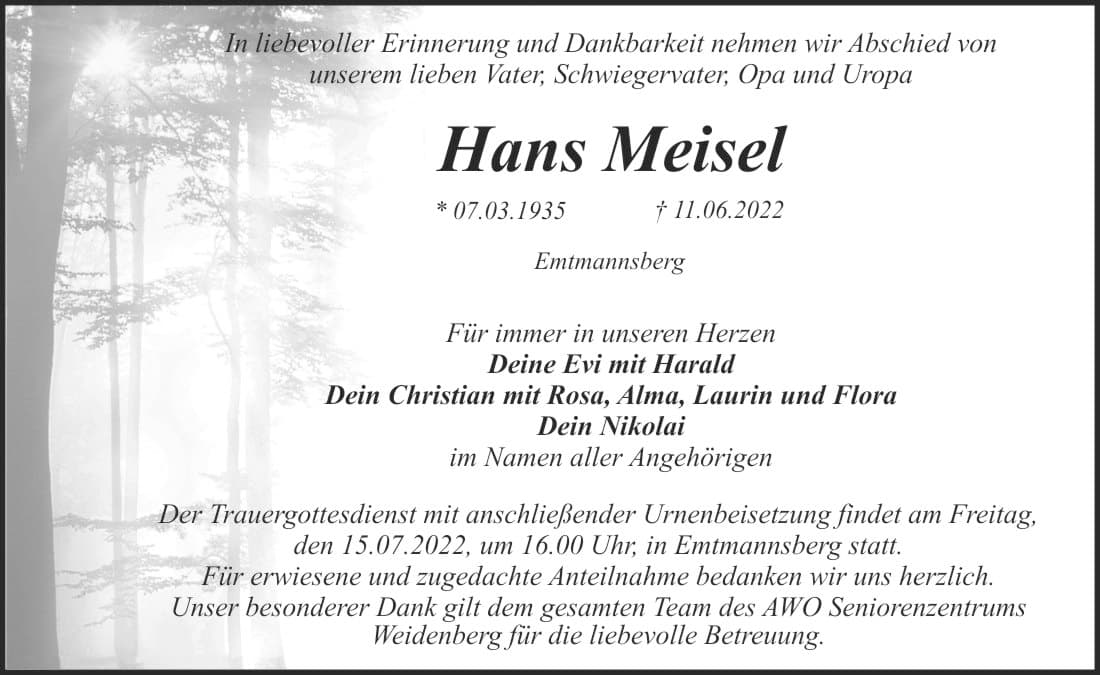 Herr Hans Meisel