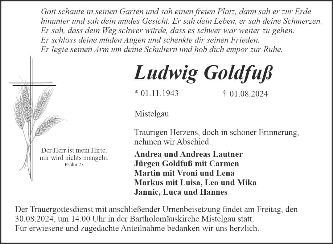 Herr Ludwig Goldfuß